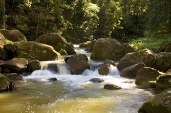 The Cedars Cottages - Tourism Cairns 2