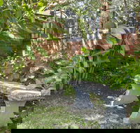 Boutique Stays - Frankie's Place - Tourism Cairns