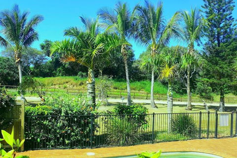 Sailfish On Fraser - Tourism Cairns 3