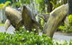 Cairns Coconut Holiday Resort - thumb 1