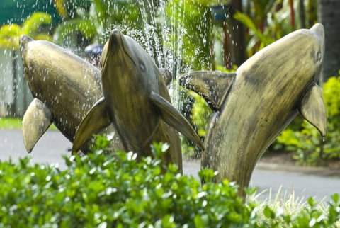 Cairns Coconut Holiday Resort - Tourism Cairns 1