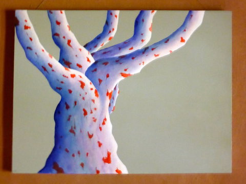 Wildwood Guesthouse - Tourism Cairns 4