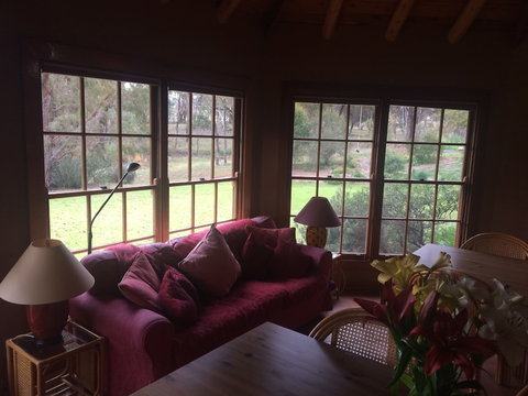 Wildwood Guesthouse - Tourism Cairns 2