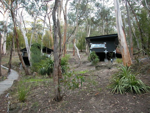 Qdos Arts - Tourism Cairns 2