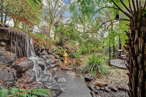 Forget Me Not Cottages - Tourism Cairns 4