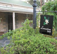 Lemontree Cottage - Tourism Cairns
