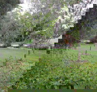 Amy's House - Tourism Cairns