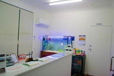 Buckaroo Motor Inn - Tourism Cairns 4