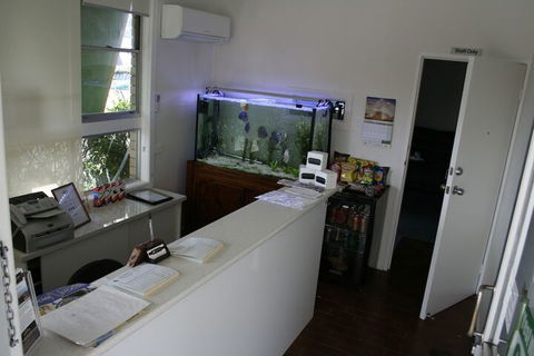 Buckaroo Motor Inn - Tourism Cairns 1