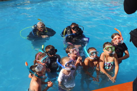 Warrnambool Motel And Holiday Park - Tourism Cairns 0