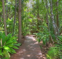 Montville Grove - Tourism Cairns