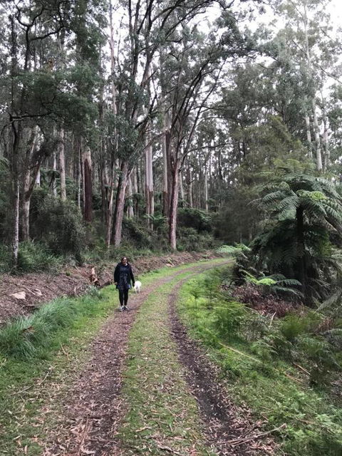 Warburton Holiday House - Tourism Cairns 3