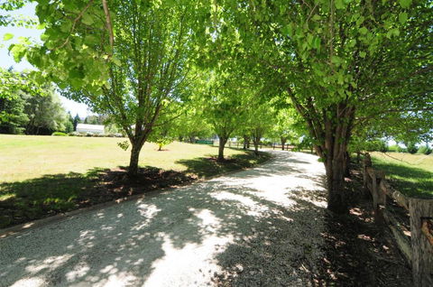 Daisy Cottage - Tourism Cairns 7