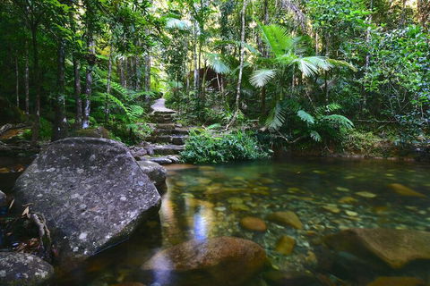 Daintree Cascades - Tourism Cairns 2