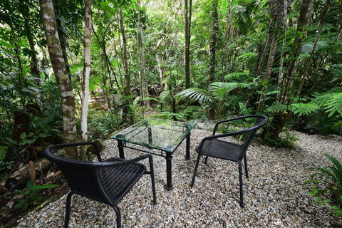 Daintree Cascades - Tourism Cairns 4