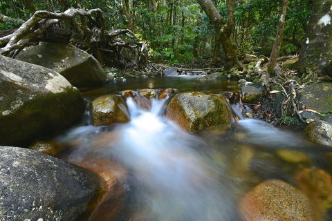 Daintree Cascades - Tourism Cairns 1