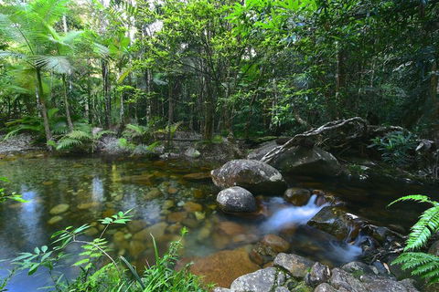 Daintree Cascades - Tourism Cairns 5