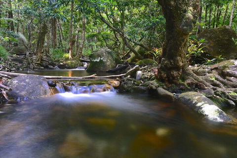 Daintree Cascades - Tourism Cairns 6