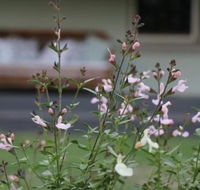 Serendipity on Allyn - Tourism Cairns