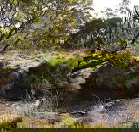 Green Gully House - Tourism Cairns