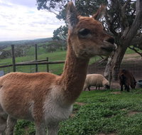Morella Farm Stay - Tourism Cairns