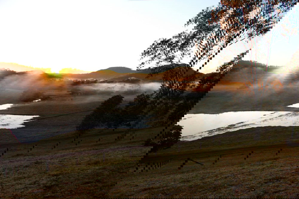 Cambroon QLD Tourism Cairns