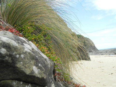 Cape 28 - Tourism Cairns 5