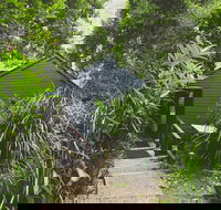 Montagues of Montville - Tourism Cairns