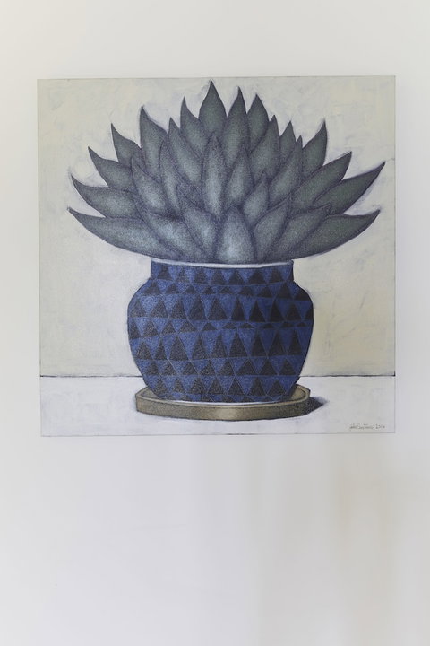 Watermark At Wategos - Tourism Cairns 3