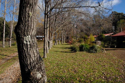 Birdwing Bed & Breakfast Weegena - Tourism Cairns 2