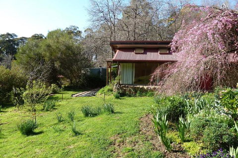 Birdwing Bed & Breakfast Weegena - Tourism Cairns 5