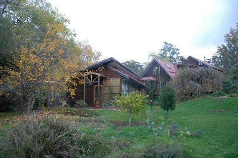 Birdwing Bed & Breakfast Weegena - Tourism Cairns 3