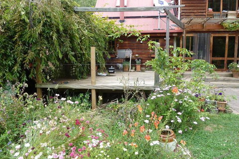 Birdwing Bed & Breakfast Weegena - Tourism Cairns 6