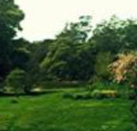 Birdwing Bed  Breakfast Weegena - Tourism Cairns