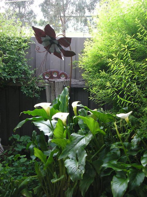 C & As Cottage - Tourism Cairns 2