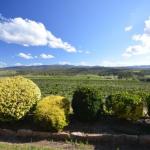 Sancerre Estate - Tourism Cairns 0