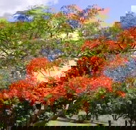 Eastwood Farm - Tourism Cairns