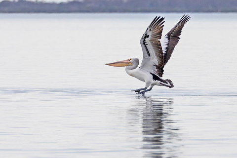 Mariners Cove At Paynesville Motel & Apartments - Tourism Cairns 5