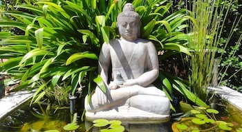 Vatu Sanctuary - Tourism Cairns 4