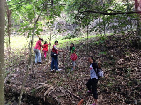 Bellview - Tourism Cairns 3