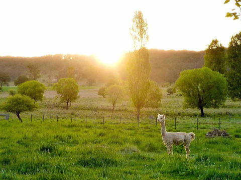 Glen Waverly Farmstay - Tourism Cairns 6