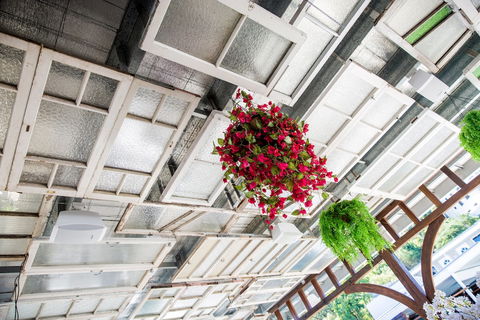 Rambutan Resort - Tourism Cairns 6