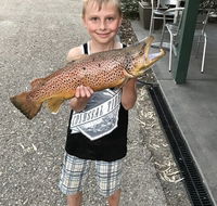 Eildon Pondage Holiday Park - Tourism Cairns