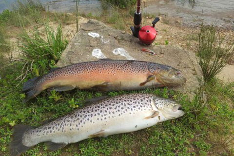 Eildon Pondage Holiday Park - Tourism Cairns 4