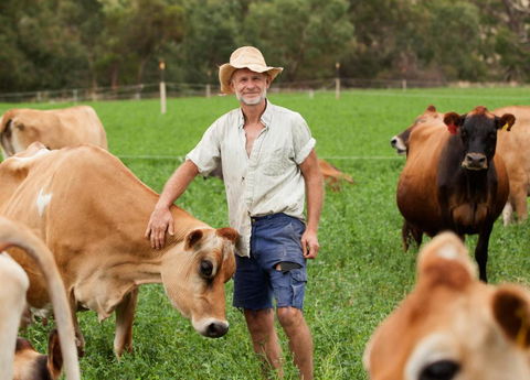 Dairymans Cottage - Tourism Cairns 3