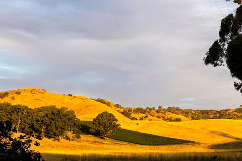 Dairymans Cottage - Tourism Cairns 6