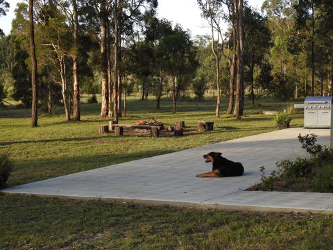 Wallaby Cottage Cute Accom In Bushland Setting - Tourism Cairns 3