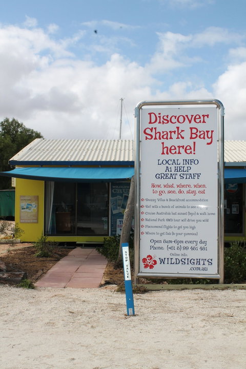 Wildsights Beach Units - Tourism Cairns 1