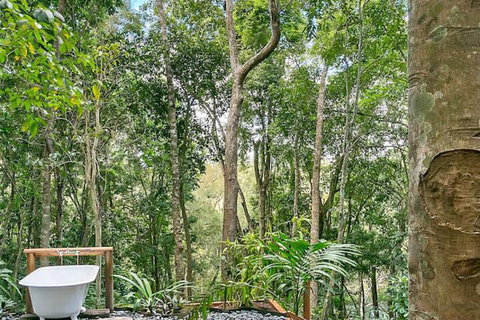 Wanggulay Treetops Cairns City - Tourism Cairns 7