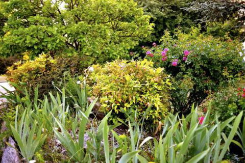 The Glasshouse Boutique Accommodation - Tourism Cairns 6
